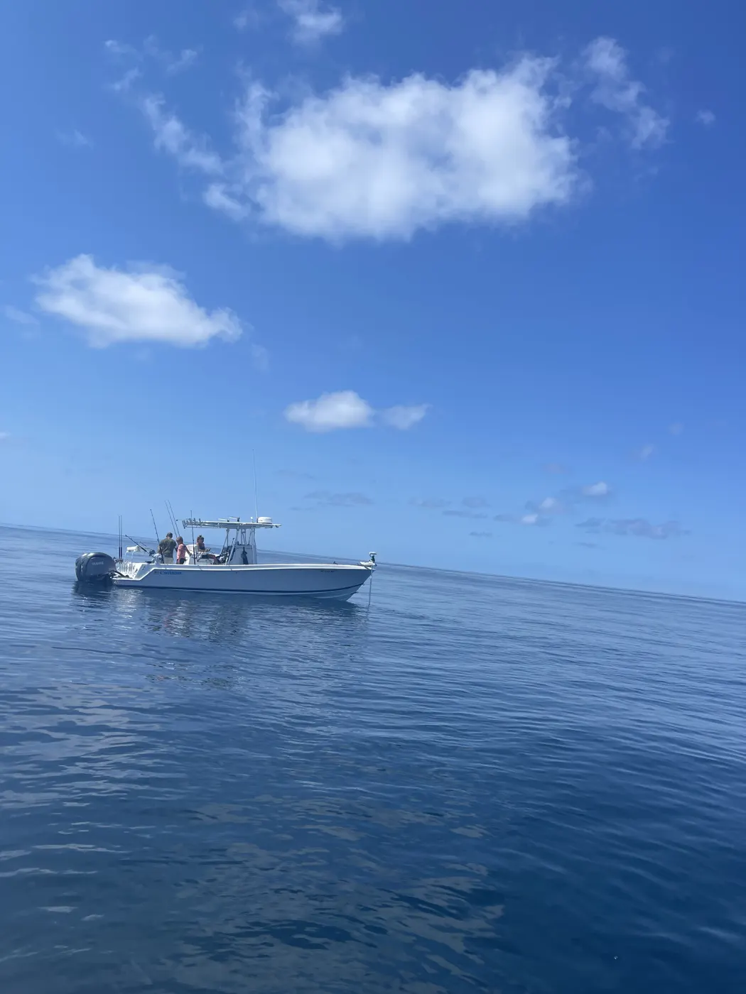 Planer Fishing for Wahoo and Kings: The Meat-Fishing Change-Up