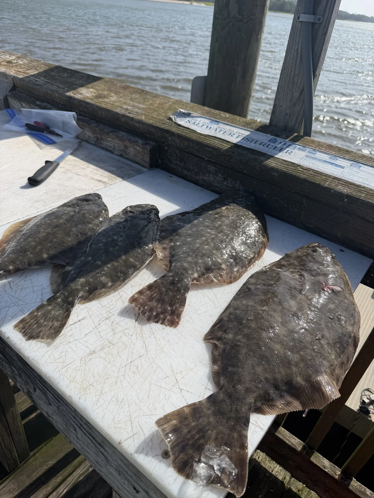 Four flounder laid out on a cleaning table
